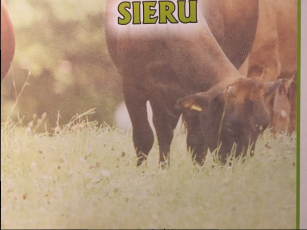 Četri gadalaiki ar sieru