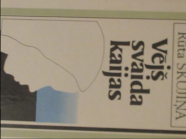 Vējš svaida kaijas