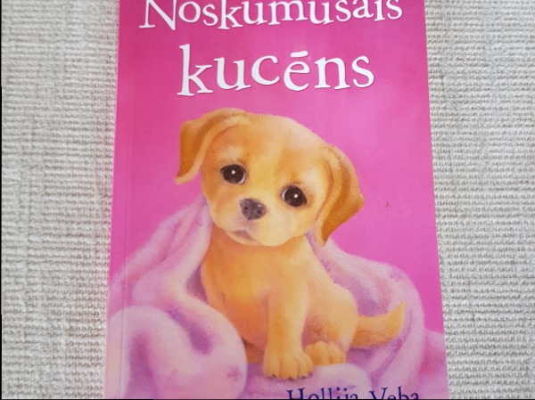 Noskumušais kucēns