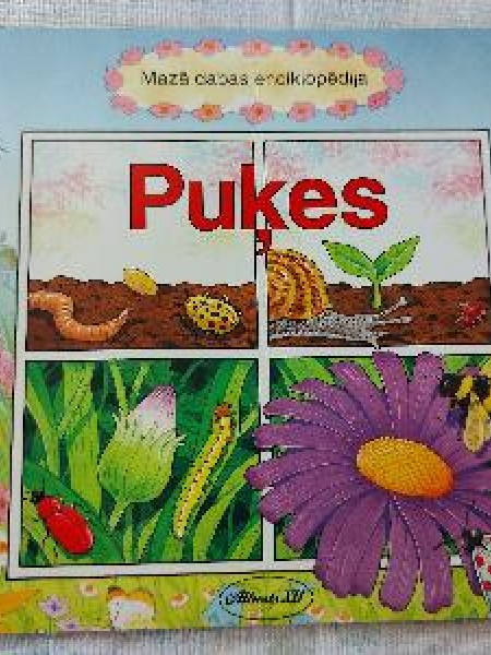 Mazā dabas enciklopēdija Puķes