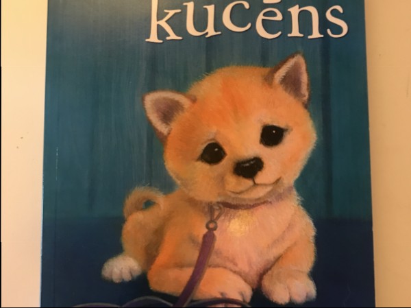 Aizmirstais kucēns