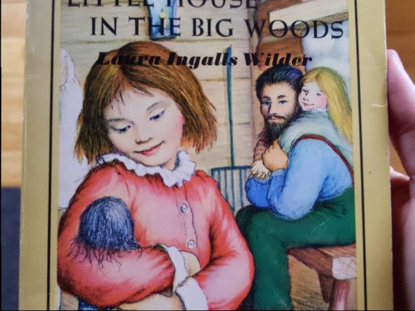 Little house in the big woods