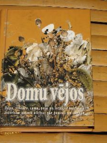 Domu vējos