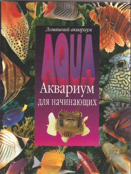 Аквариум для начинающих