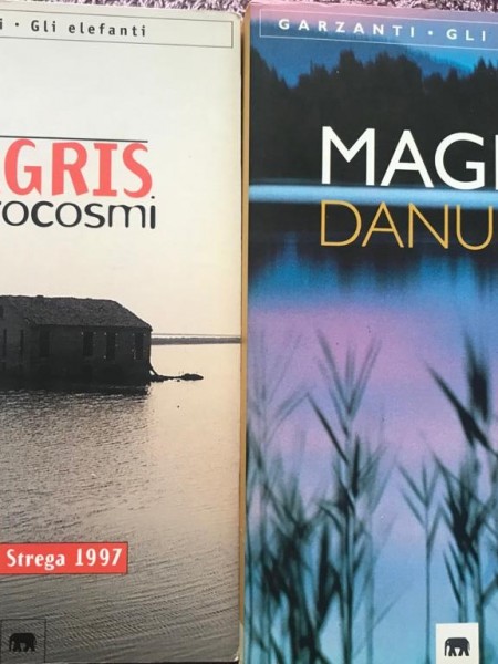 MICROCOSMI - DANUBIO