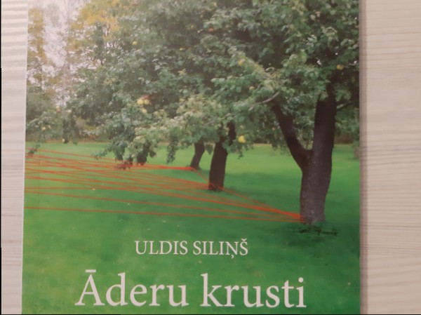 Āderu krusti