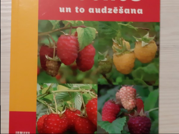 Avenes un to audzēšana