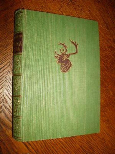 Liktenīgā liecība