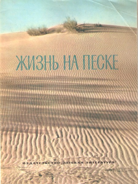 Жизнь на песке