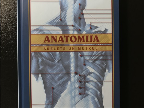 Anatomija I Skelets un muskuļi