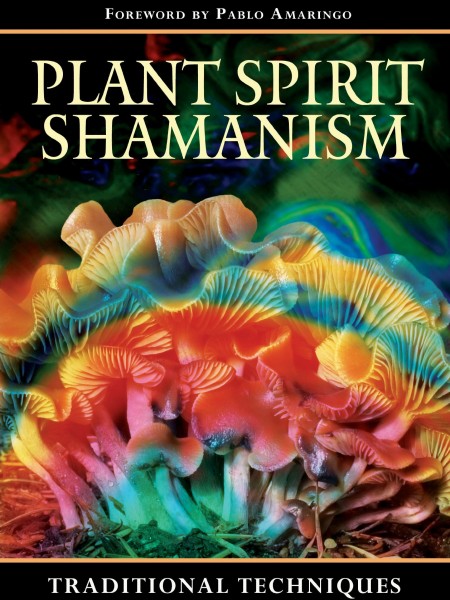 Plant Spirit Shamanism: Traditional Techniques for Healing the Soul