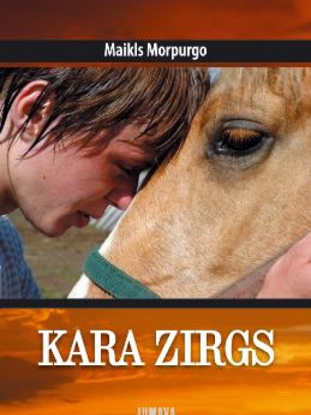 Kara zirgs