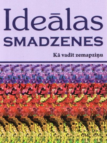 Ideālas smadzenes