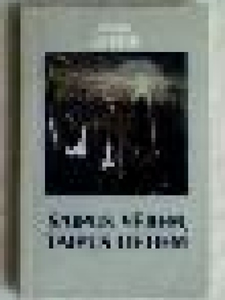 ŠAIPUS VĒJIEM TAIPUS LIETIEM