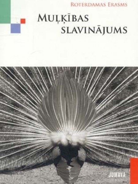Muļķības slavinājums