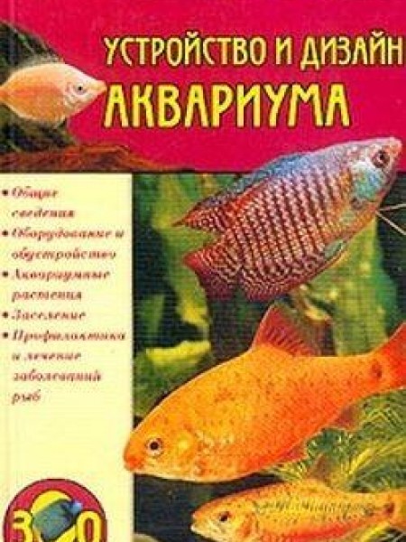 Устройство и дизайн аквариума