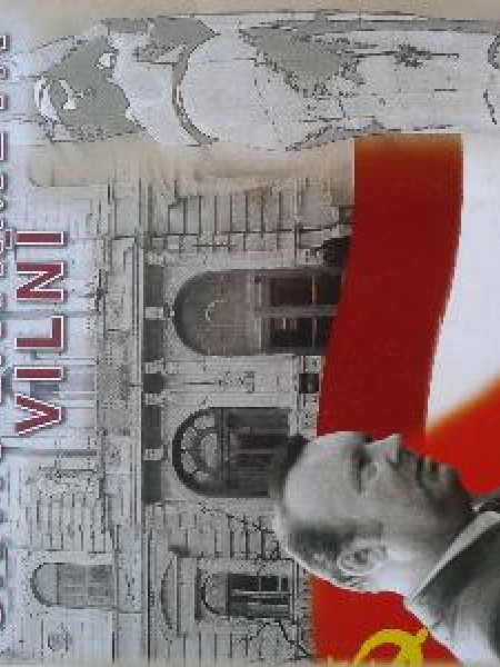 Sava laikmeta vilnī