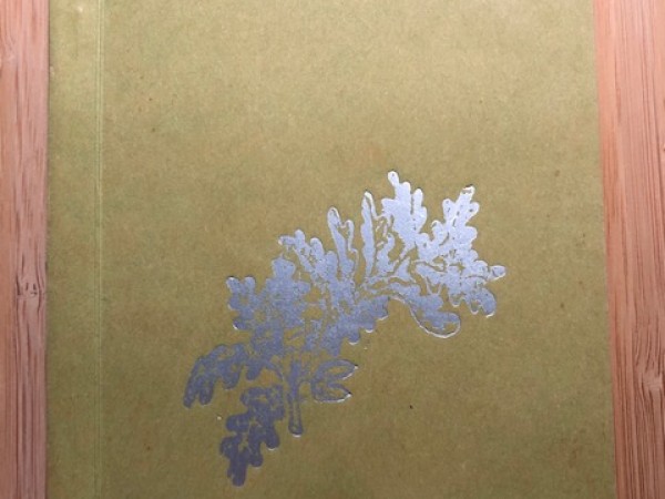 Es dziedāšu par Tevi, tēvu zeme