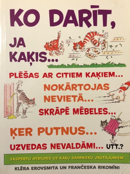 Ko darīt, ja kaķis...