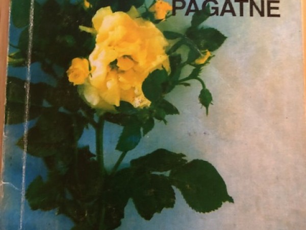 Slepeni salaulātie pagātne