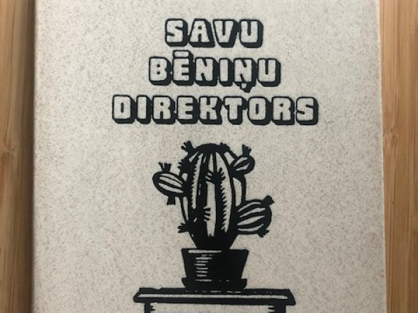 Savu bēniņu direktors
