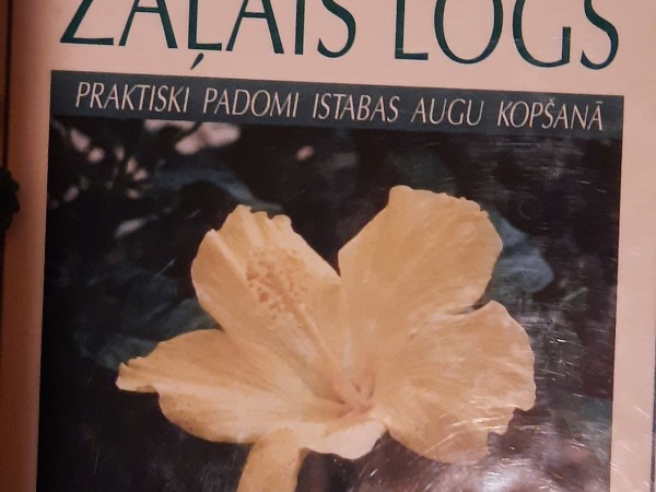 Mans zaļais logs
