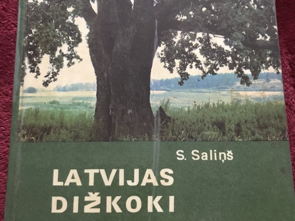 Latvijas dižkoki un reti koki