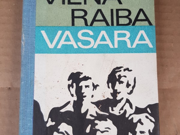 Viena raiba vasara