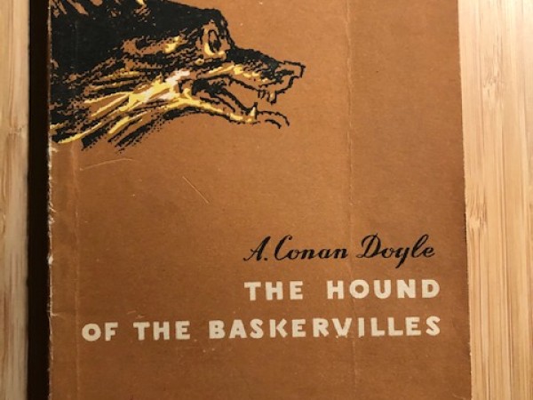The hound of the baskervilles