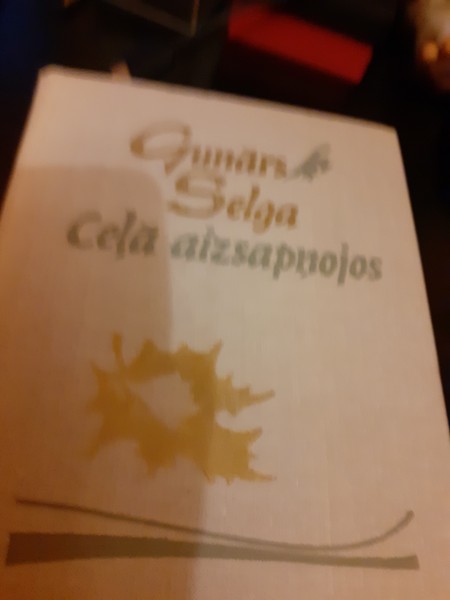 Ceļā aizsapņojies