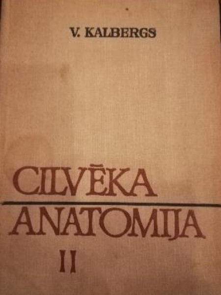 Cilvēka anatomija 2. daļa