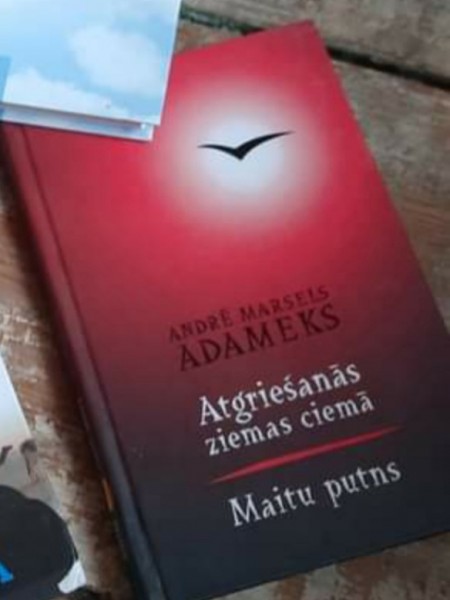 Atgriešanās ziemas ciemā maitu putns