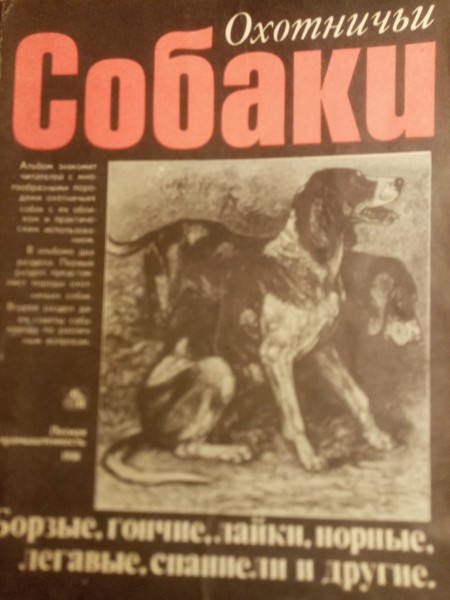ОХОТНИЧЬИ СОБАКИ