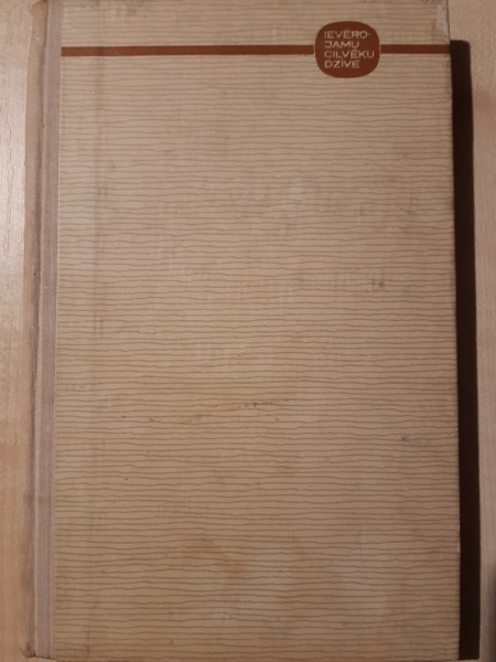 Alberts Einšteins. Ievērojamu cilvēku dzīve