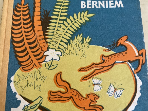 Blēņu stāsti maziem bērniem