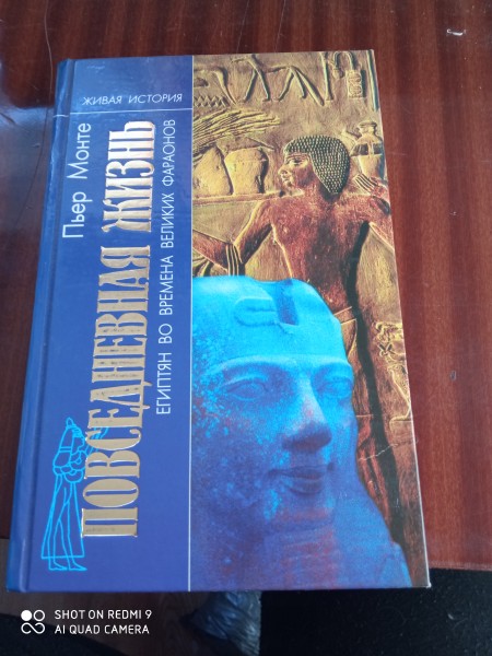 Повседневная жизнь  египтян  во  времена  великих  фараонов