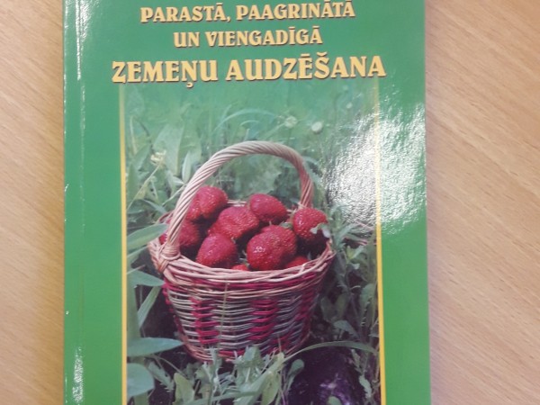 Parastā, paagrinātā un viengadīgā zemeņu audzēšana