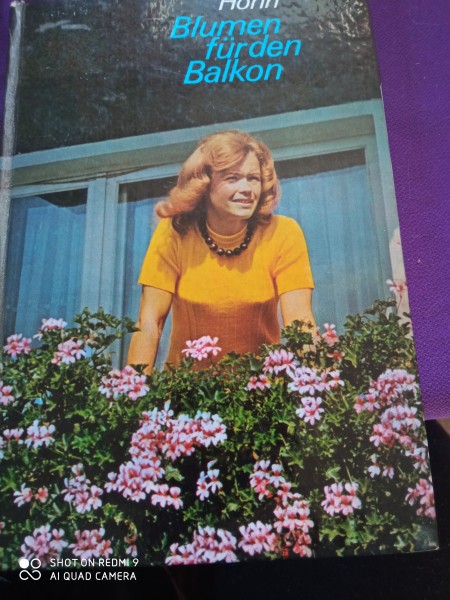 Blumen fur den Balkon