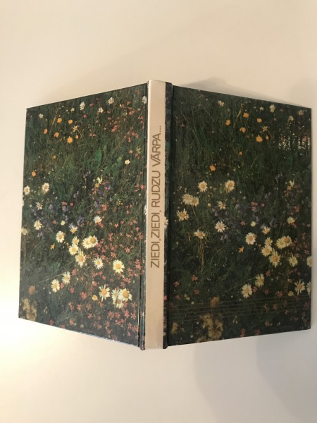 Ziedi, ziedi, rudzu vārpa