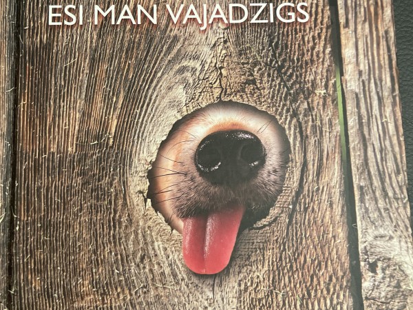 Esi man vajadzīgs