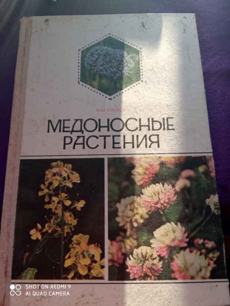 Медоносные растения