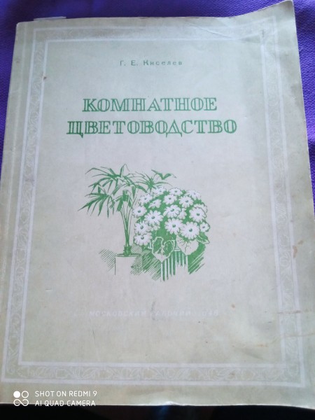 Koмнатное цветоводство