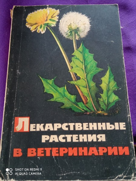 Лекарственные растения  в  ветеринарии