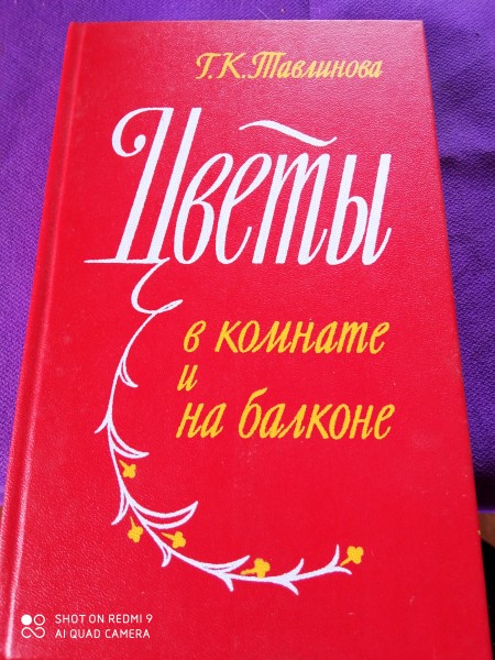 Цветы в комнате и на  балконе