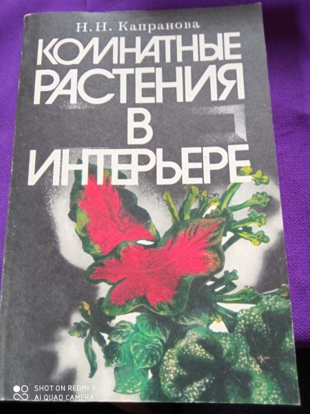 Комнатные растения в  интерьере