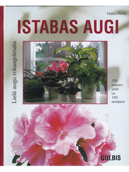 Istabas augi