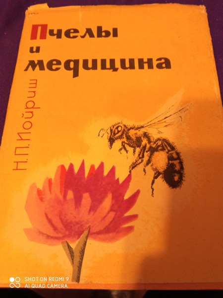 Пчелы и медицина