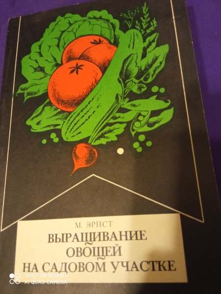 Выращивание овощей  на  садовом  участке