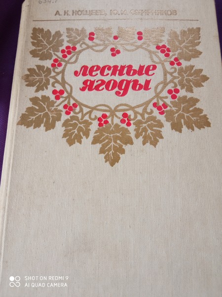 Лесные ягоды