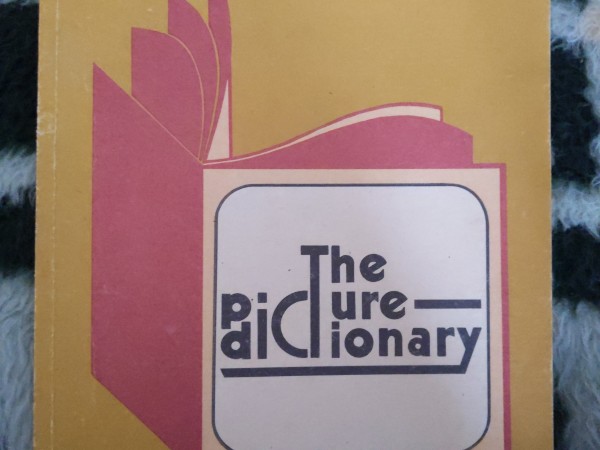 The picture dictionary